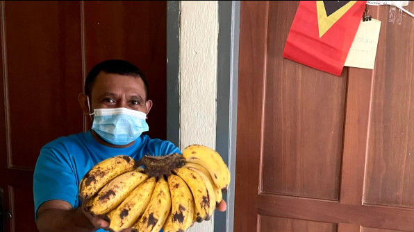 Covid and Bananas Timor style