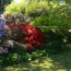 Through Australian bush to a 19th century English-style ‘hill station’