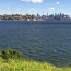 For the birds! – in Sydney